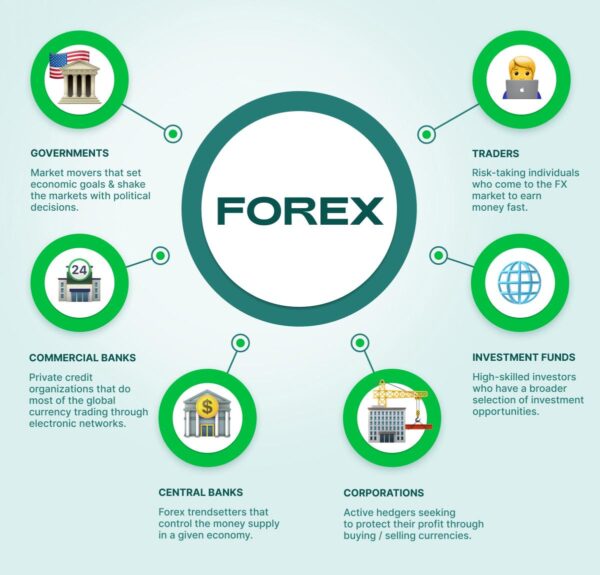 trade the forex market