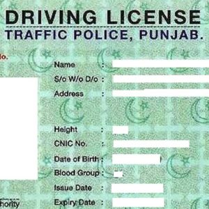 DRIVING LISANCE SERVICES